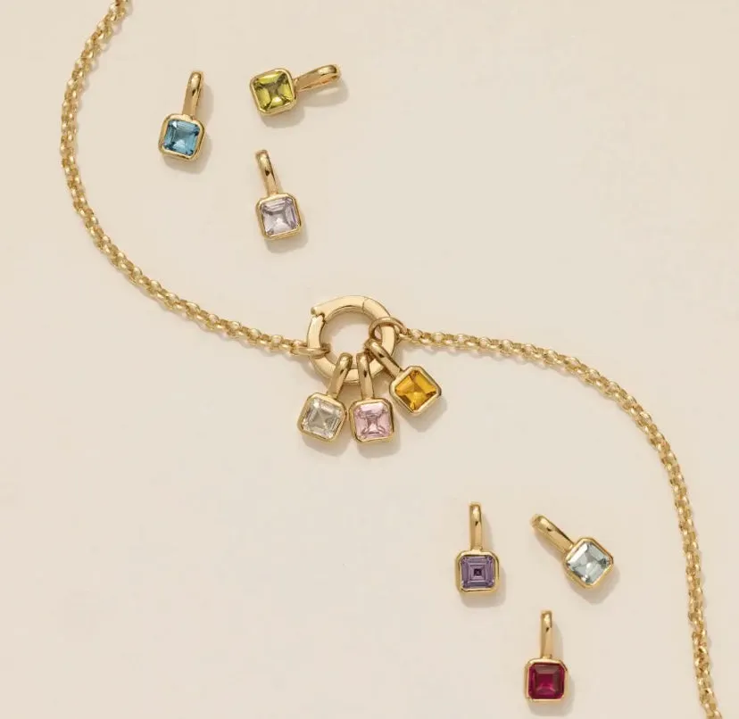 Birthstone Charm Necklace