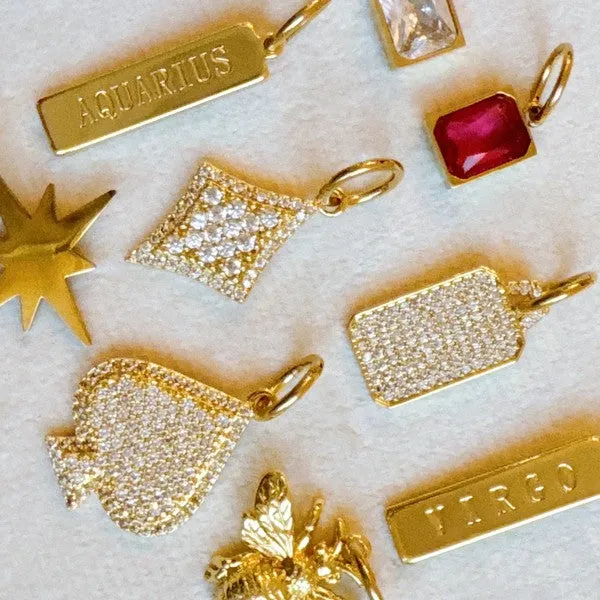 Zodiac Bar Clip-On Charms - Seamless